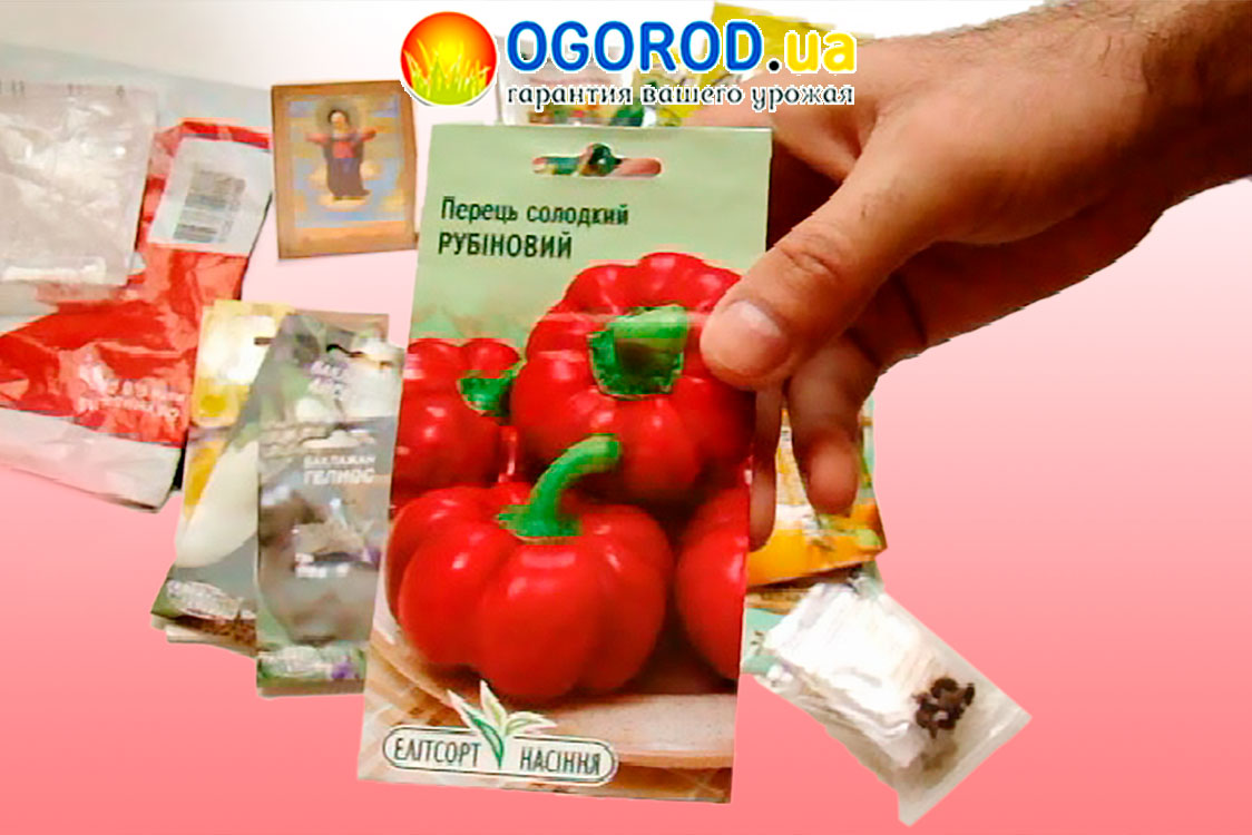 Əkinqabağı toxum tədarükü – Ukraynadan (Ogorod.ua) sifariş (VİDEO)