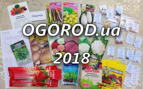 Ogorod.ua saytından toxumlar, gübrələr və hədiyyələr (2018) Ogorod.ua saytından toxumlar, gübrələr və hədiyyələr (2018)