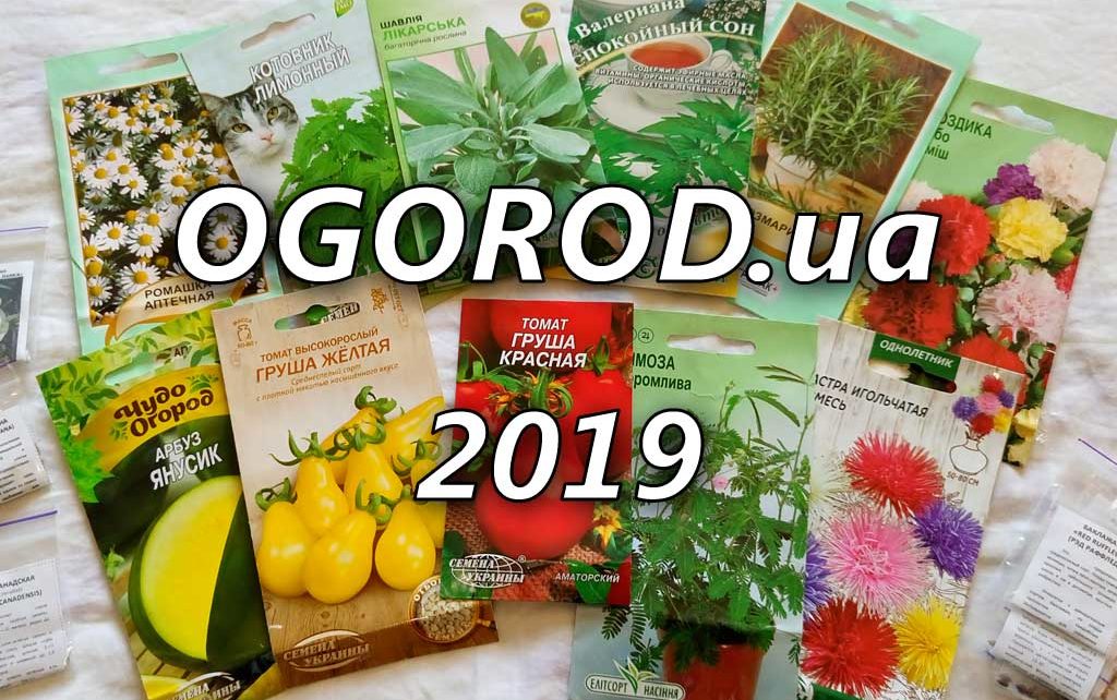 Ogorod.ua saytından toxumlar – 2019