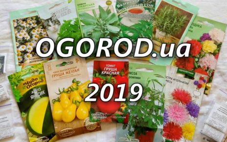 Ogorod.ua saytından toxumlar – 2019